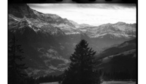 THE ALPS / VIEW FROM HOME